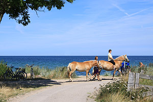 Reiten an der Ostsee in Hohenfelde am Strand