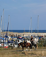 Reiten am Strand