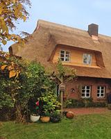 Ferienhaus Ness in Schwartbuck, Garten